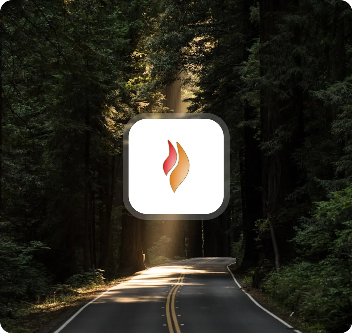 Safe Guide Life app icon overlaid on a sunlit forest road